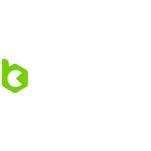 BCGAME Logo White